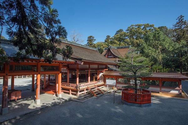 パワースポット巡りを福岡市内で！ 福岡市のおすすめ神社