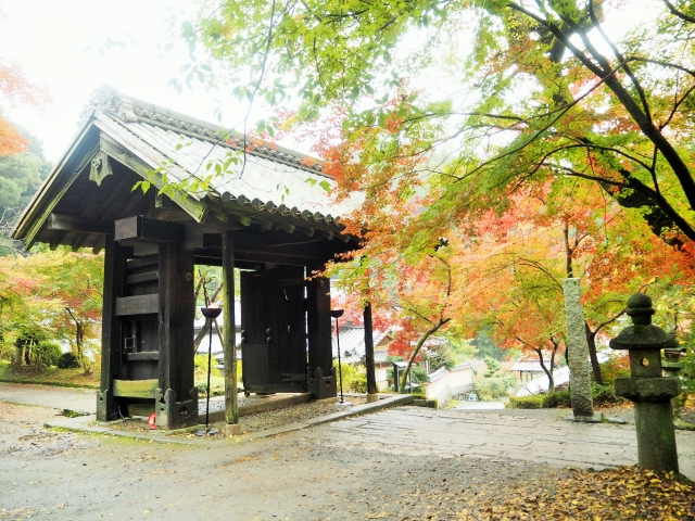 紅葉を楽しむならココ! 福岡エリア別紅葉スポット5選