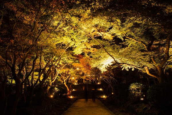 紅葉を楽しむならココ! 福岡エリア別紅葉スポット5選