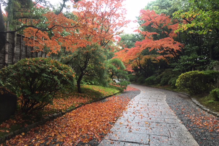 紅葉を楽しむならココ！ 福岡エリア別紅葉スポット5選