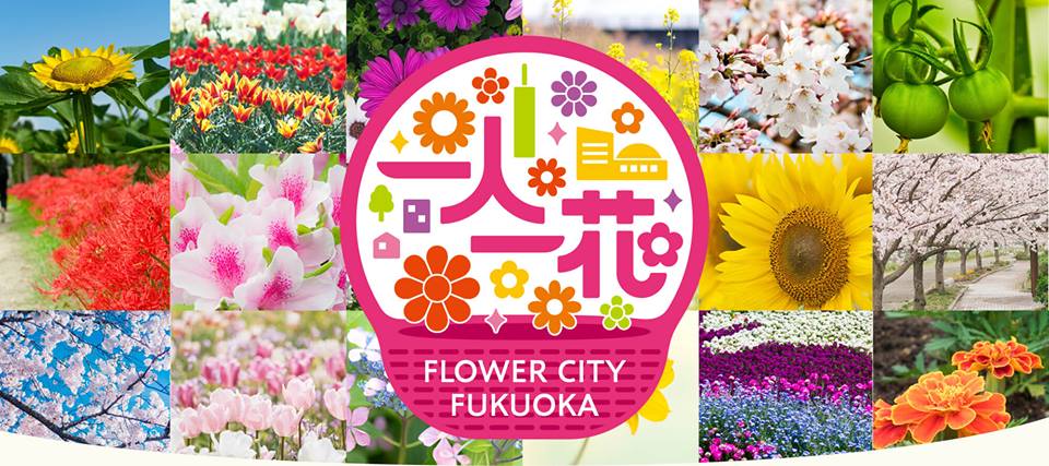 フラワーシーズン到来! 福岡の春は花見で決定!