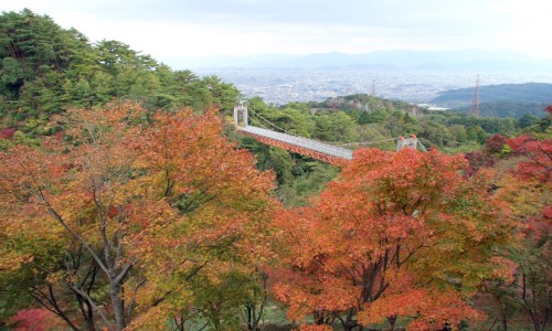 大自然を満喫! 福岡にある一度は行きたい絶景スポット4選