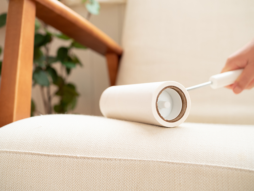 白インテリアが気になる! お部屋に取り入れるポイントは?