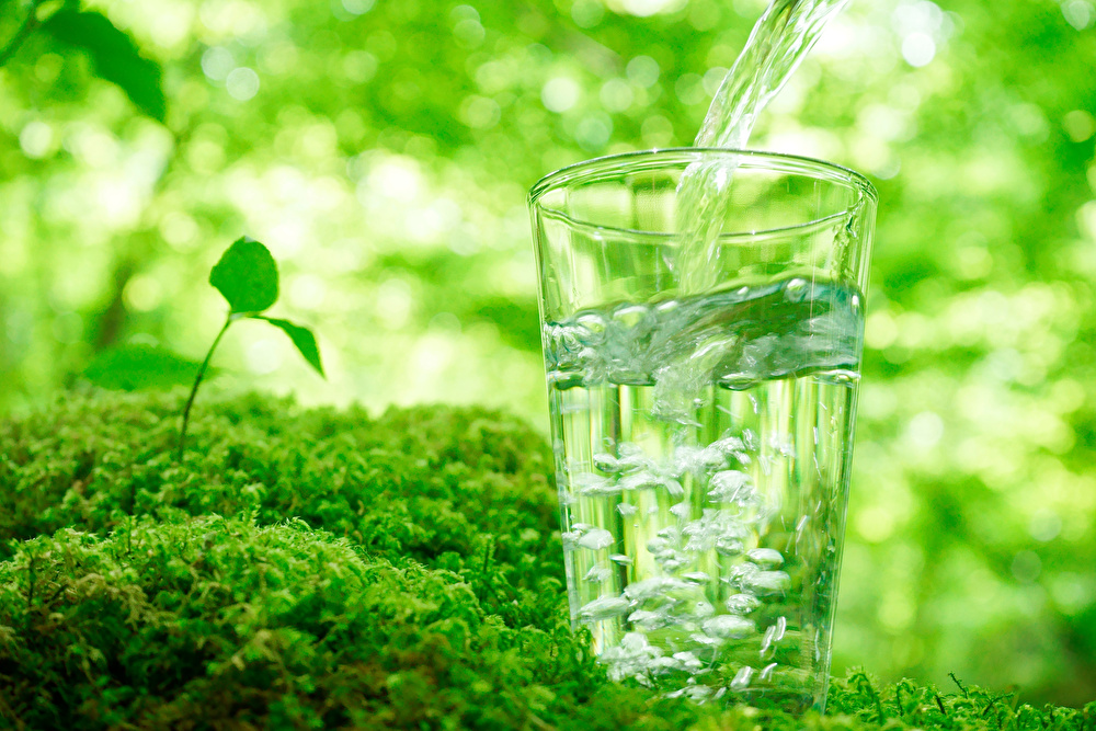 夏の熱中症対策！ 水分補給に役立つ水ゼリーを作ってみよう