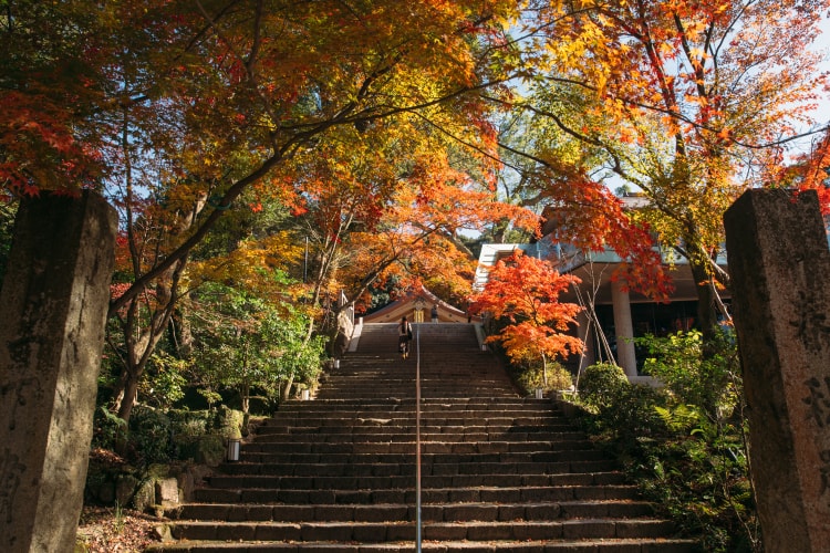 秋の紅葉を楽しもう!今年行きたい福岡の紅葉スポット
