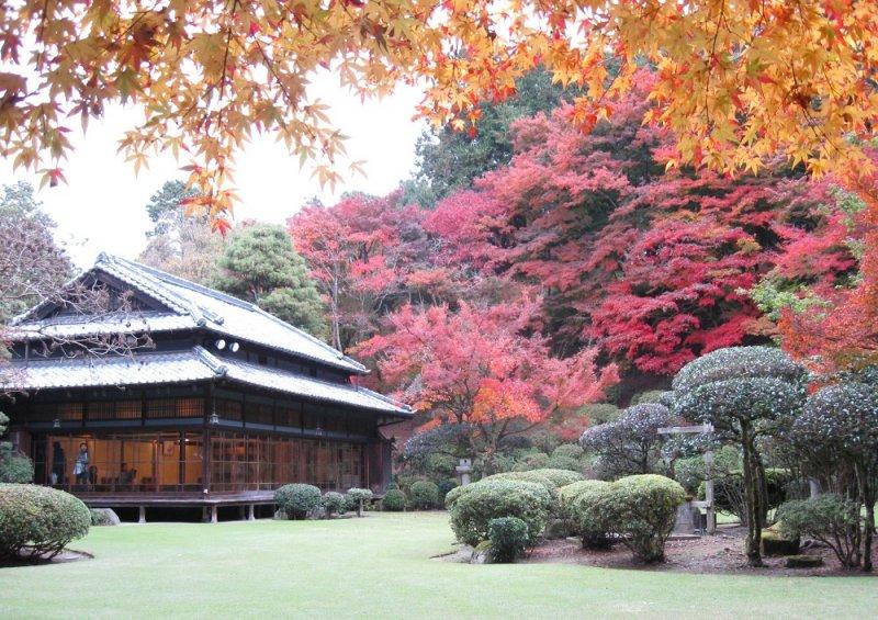 秋の紅葉を楽しもう!今年行きたい福岡の紅葉スポット