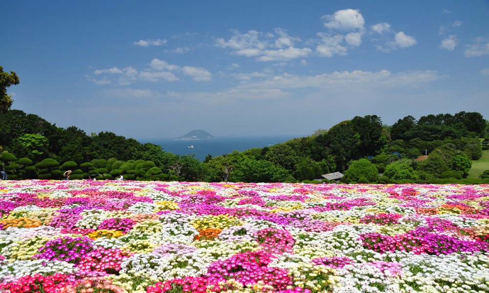春のお出かけに♪ 5月の花と福岡のフラワースポット3選