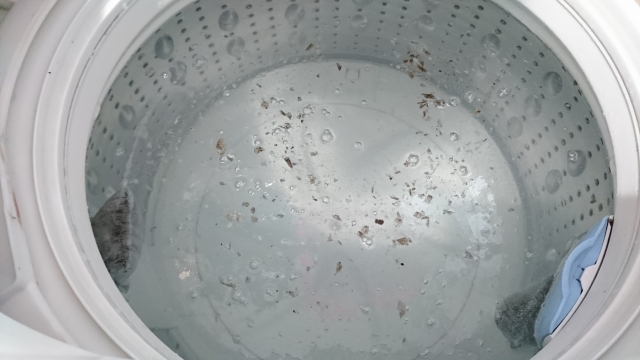 秋の長雨で気になる洗濯物の臭い。その原因、実は〇〇かも!