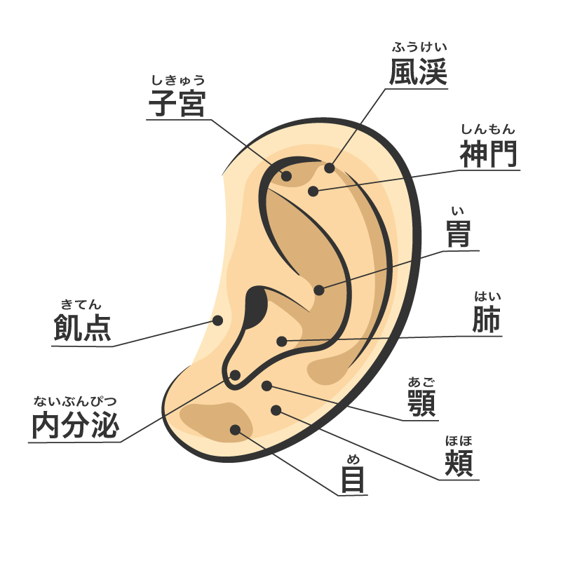 仕事の合間でもできる!耳マッサージの効果とやり方