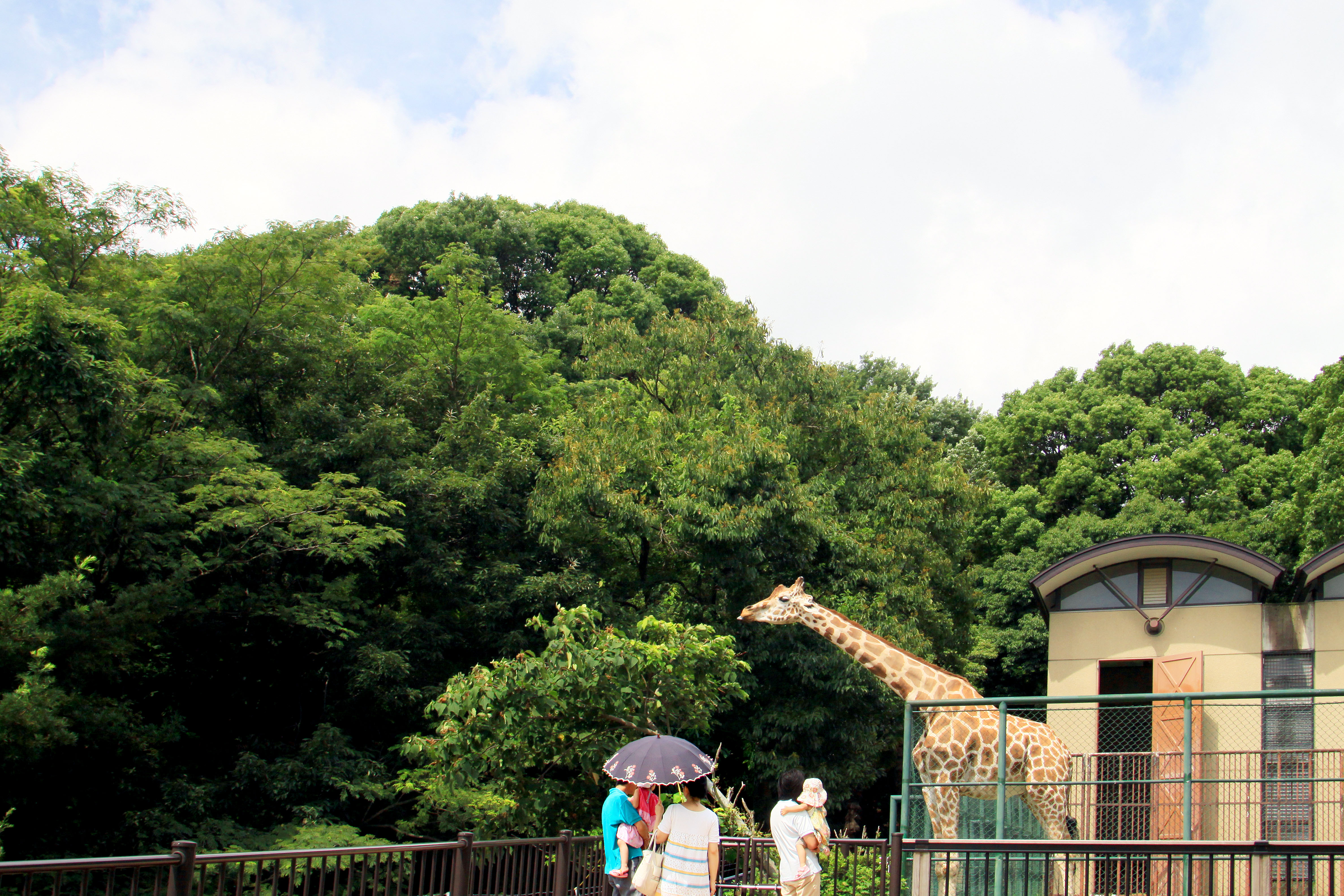 昼間より楽しい?!夜の水族館・動植物園