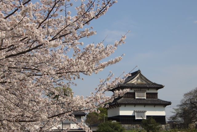 福岡市のお花見×BBQが楽しめるスポット3選