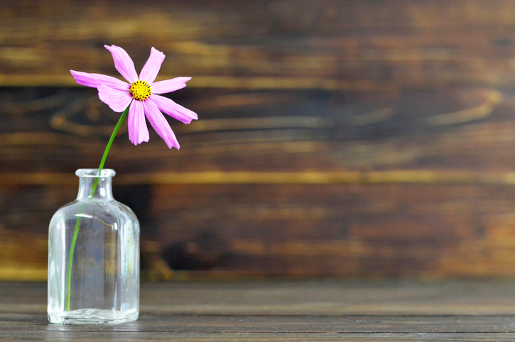  あなたの毎日を変える！「花のある暮らし」