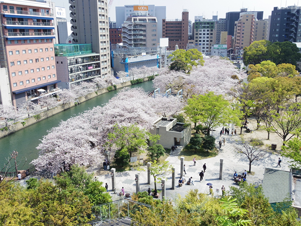 テイクアウトして公園に行こう！ 福岡のサンドイッチ店3選