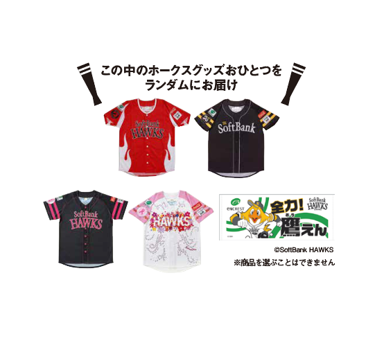 福岡ソフトバンクホークス<br />
応援グッズランダム1種